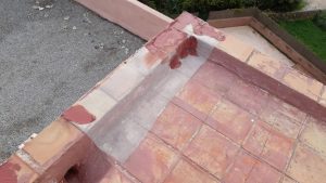 IMG-20191201-WA0041 1