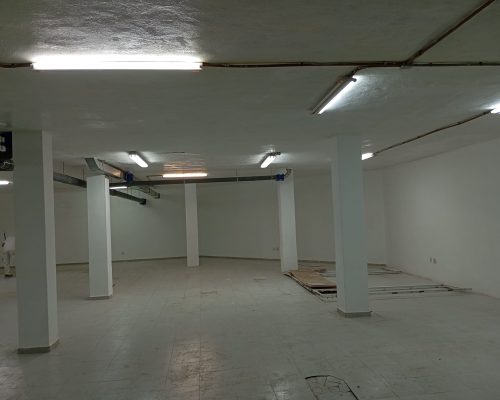 IMG-20241009-WA0005 (1)